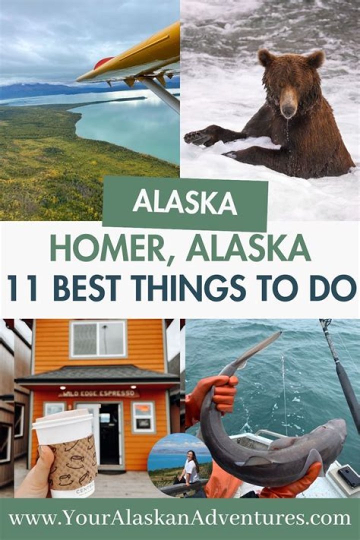 11 Best Things to Do in Homer, Alaska
