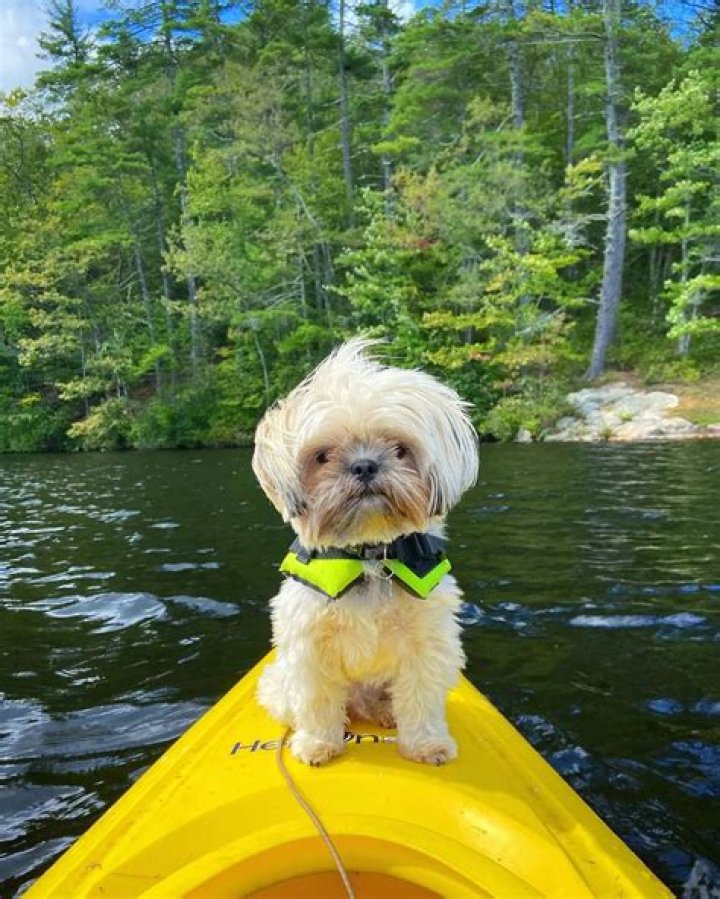 Ada-Nicole Sanger Pets - Celebrity Pets