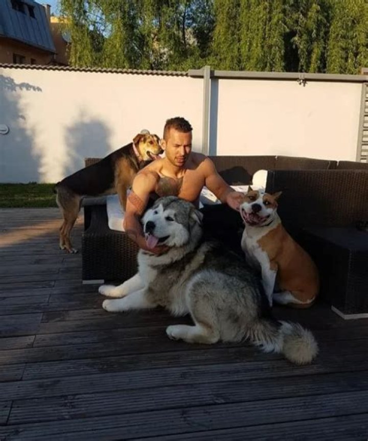 Andrew Tate Pets - Celebrity Pets