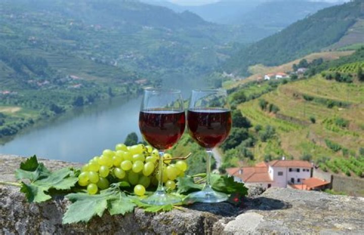 Beginner’s Guide To Portugal’s Famous Port Wine