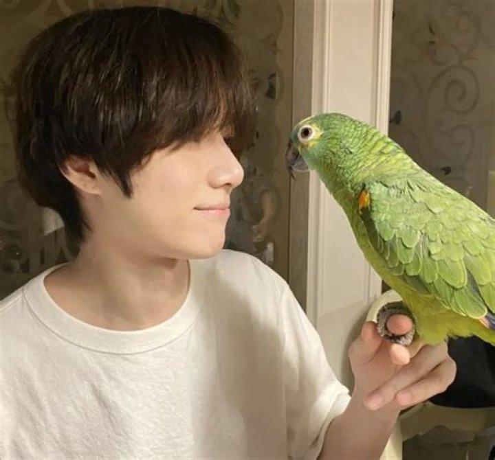 Beomgyu Pets - Celebrity Pets