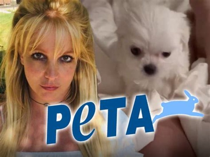 Britney Spears' 'cutesy post' slammed by PETA as she shows off fifth puppy
