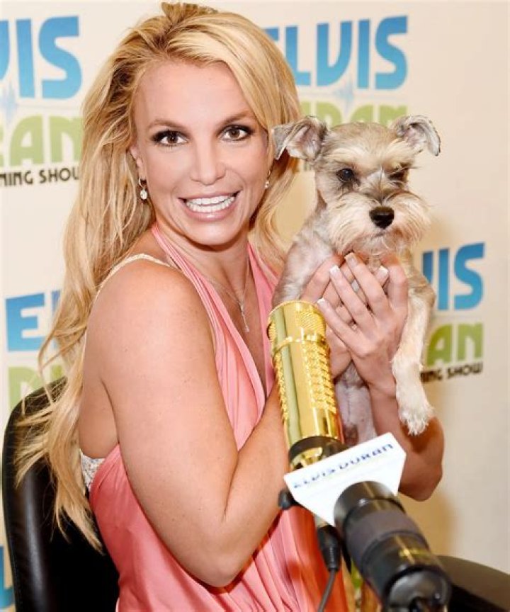 Britney Spears Pets - Celebrity Pets