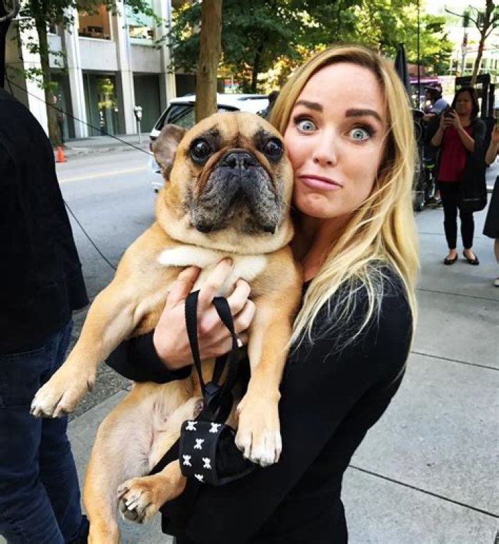 Caity Lotz Pets - Celebrity Pets