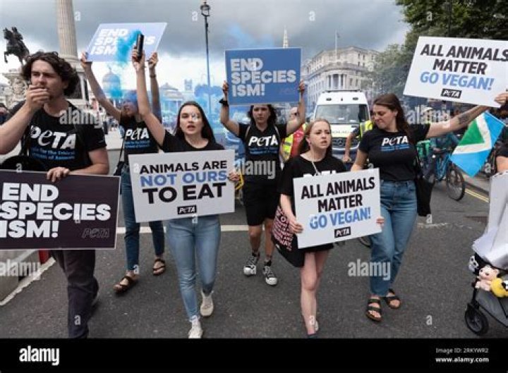Cambridge celebrates big win for animal rights!