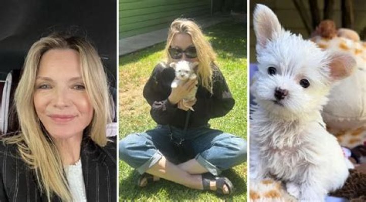 Canine-Loving Catwoman: Michelle Pfeiffer Adopts Cute Rescue Puppy Named Dot
