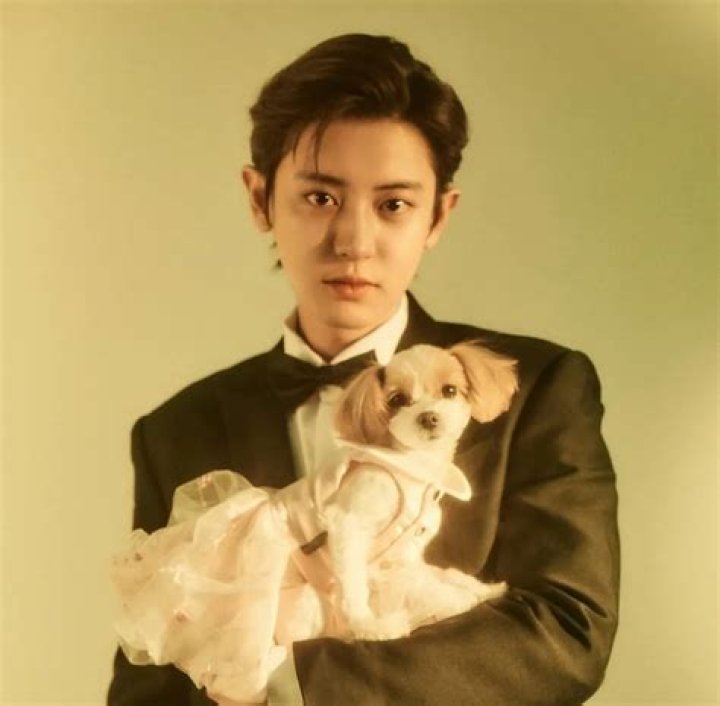 Chanyeol Pets - Celebrity Pets