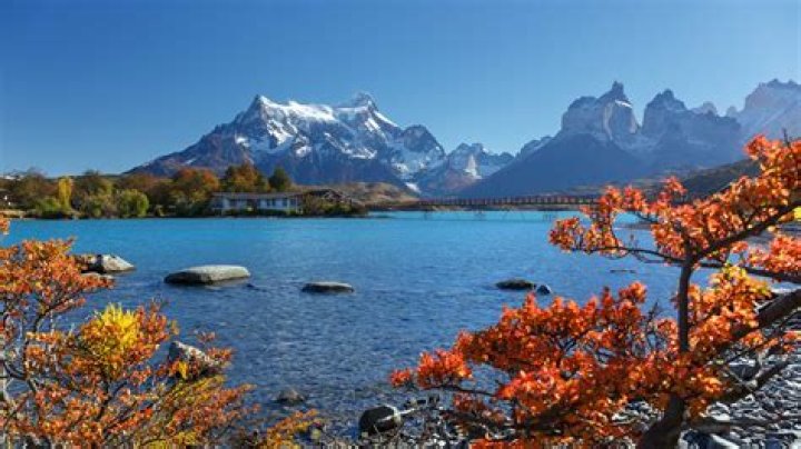 Chile Cruises: Best Cruises from Chile 2024 & 2025