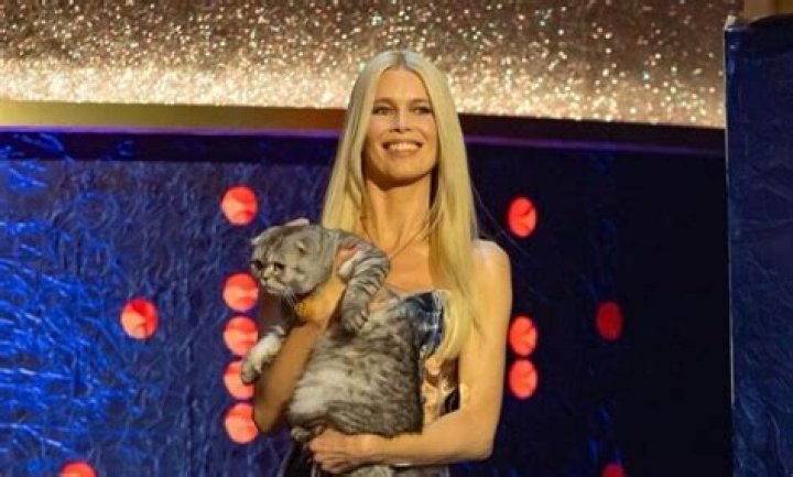 Claudia Schiffer Pets - Celebrity Pets