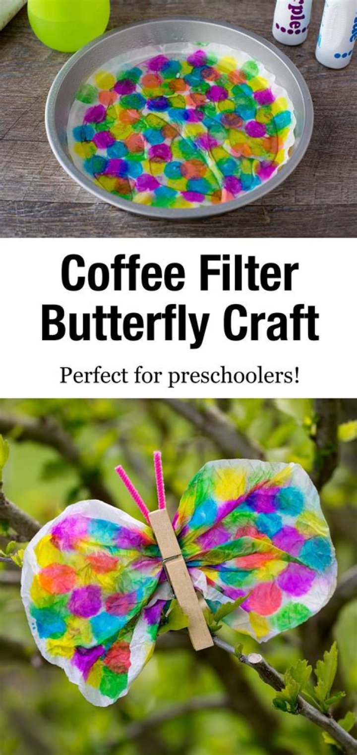 Coffee Filter Butterfly Craft and Science Experiment