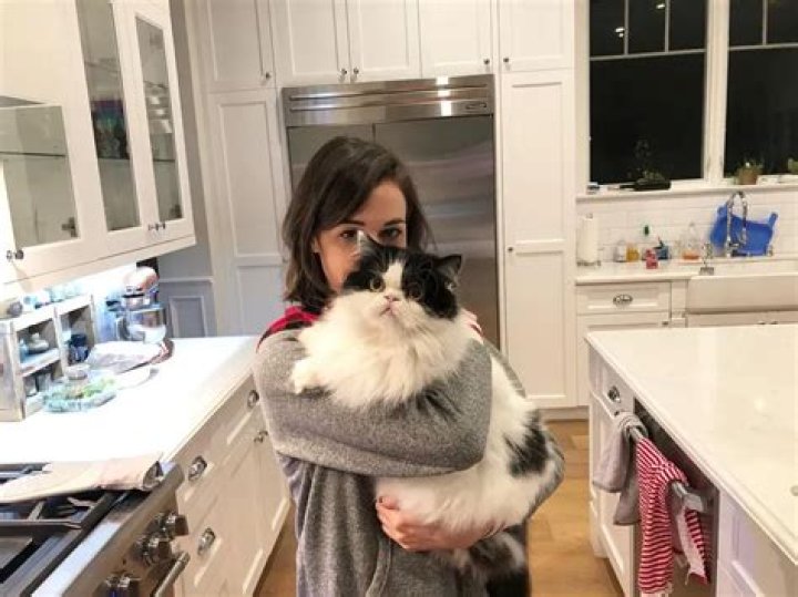 Colleen Ballinger (Miranda Sings) Pets