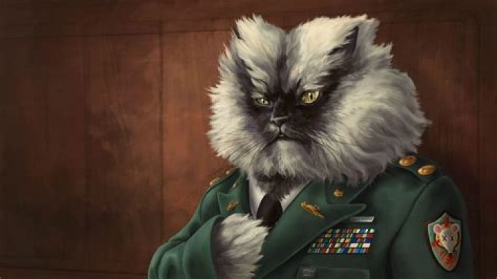 Colonel Meow the Whisky Drinking Cat Still Makes YouTube Royalties