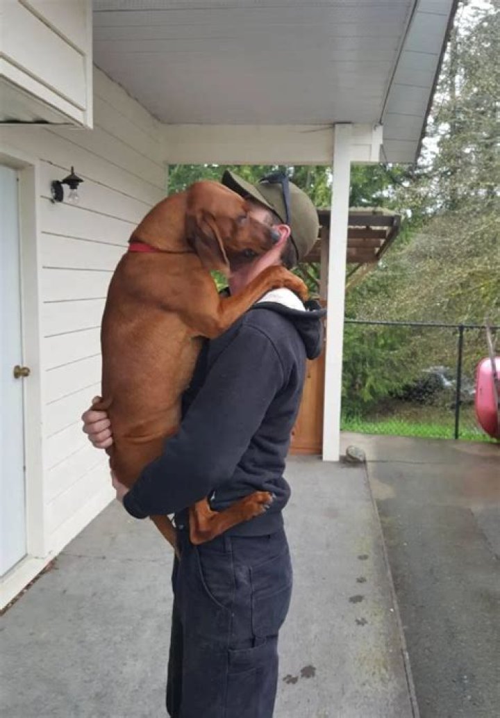 Dog Reunited with Owner 6 Months After Being Dognapped