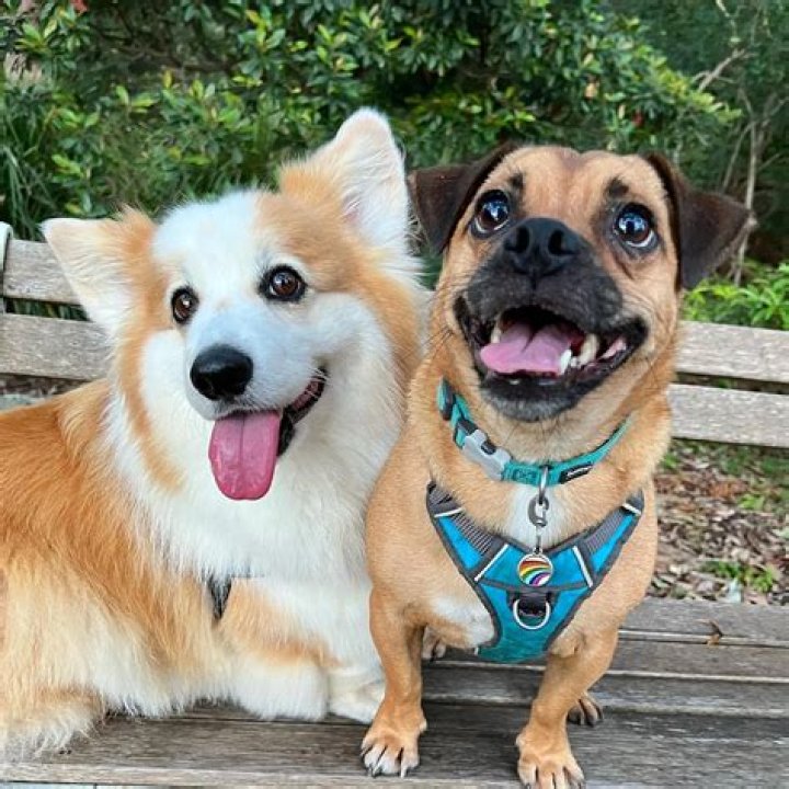 Dustin & Tayto Just a Couple Best Buds Throwing Shade At Each Other