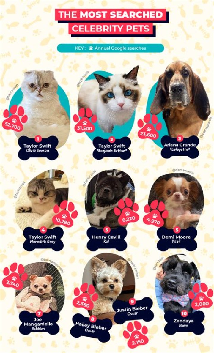 Dylan Arnold Pets - Celebrity Pets