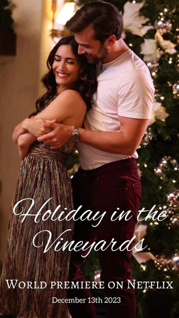 Get to know Holiday in the Vineyards actor Josh Swickard