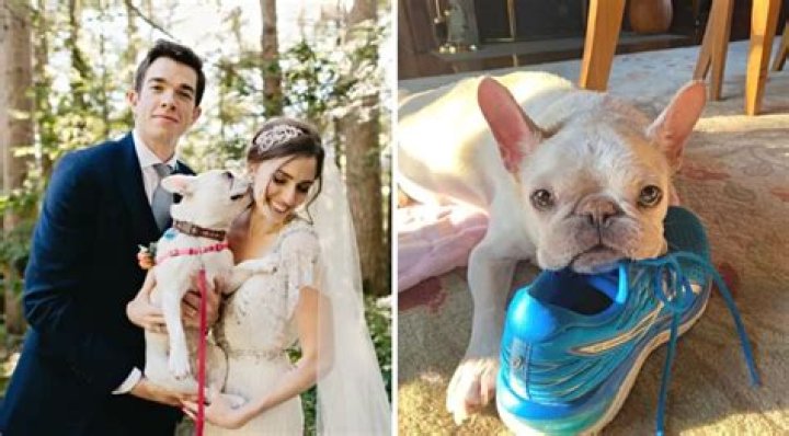 Goodbye Petunia: Anna Marie Tendler Shares Tribute to Her and John Mulaney’s Late Dog
