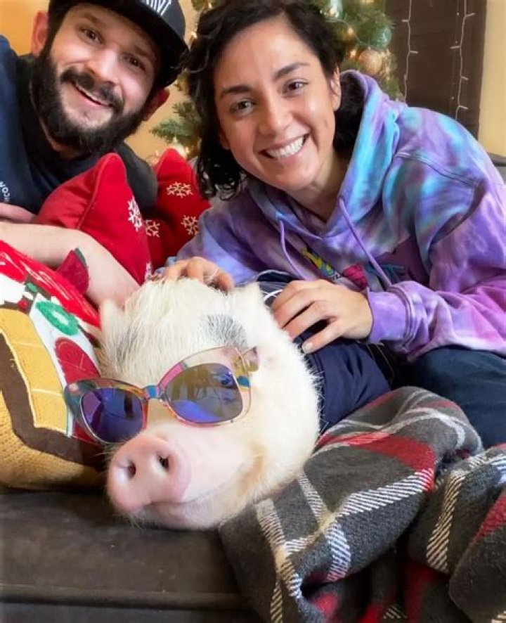 Hamlet the Piggy a Therapy Micro Pig That Thinks She’s a Dog