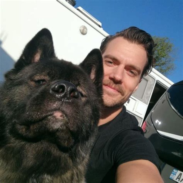 Henry Cavill Pets - Celebrity Pets