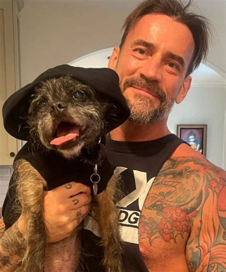 Iggy Pop Pets - Celebrity Pets