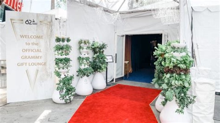 Inside the $36k Grammys gift bag celebrities take home - for free