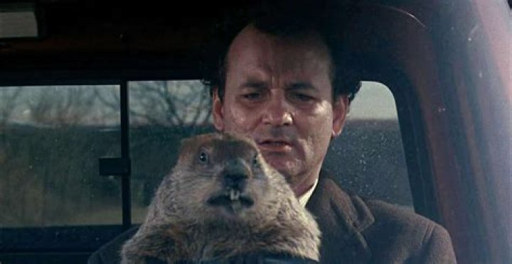 Is Groundhog Day on Netflix for Groundhog Day 2022?