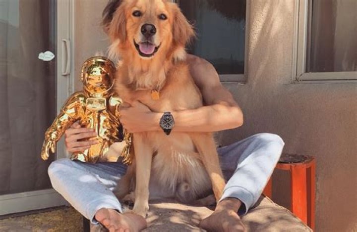 Jace Norman Pets - Celebrity Pets