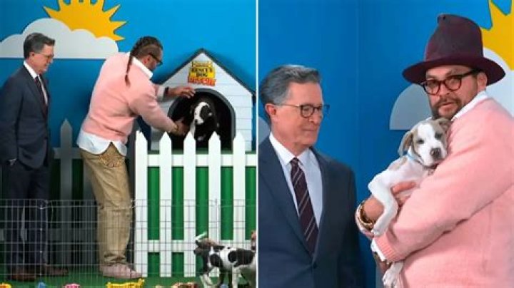 Jason Momoa and Stephen Colbert Cuddle Rescue Dogs (and Lie) To Get Them Adopted