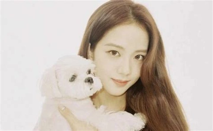 Jisoo Pets - Celebrity Pets