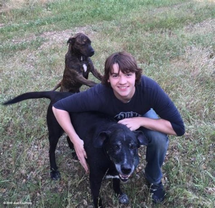 Joel Courtney Pets - Celebrity Pets