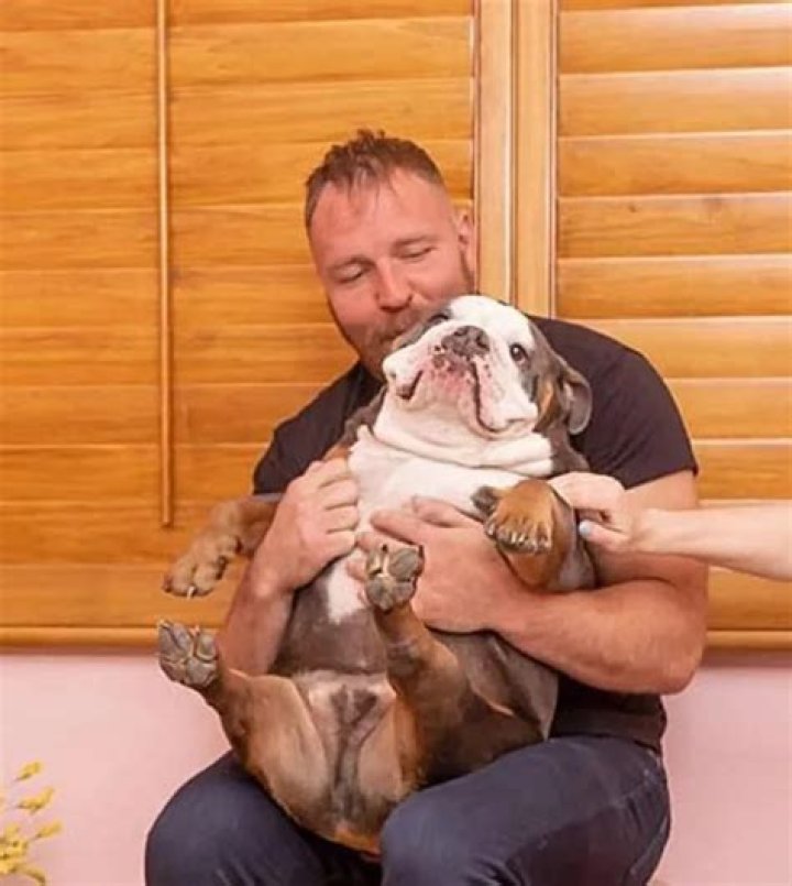 Jon Moxley Pets - Celebrity Pets