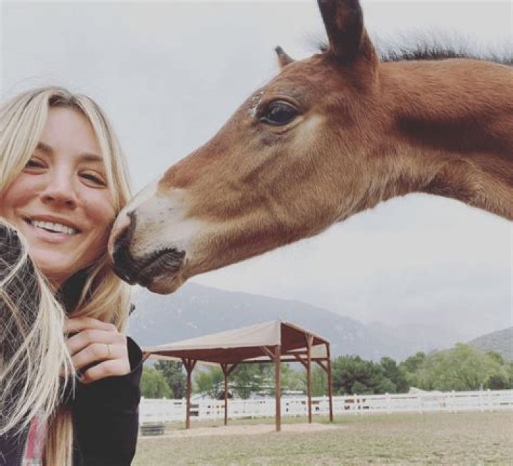 Kaley Cuoco Bids to Adopt The Horse Punched at the Olympics