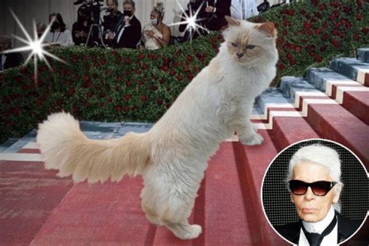 Karl Lagerfeld’s Cat Choupette Featured in Vogue; Invited to the Met Gala