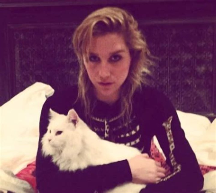 Kesha Pets - Celebrity Pets