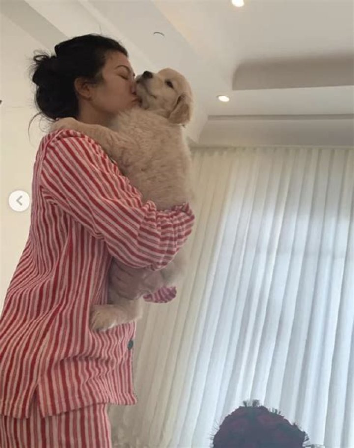 Kourtney Kardashian Pets - Celebrity Pets