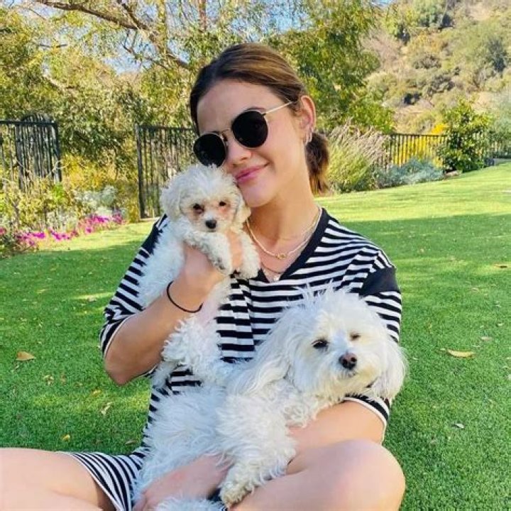 Lucy Hale Pets - Celebrity Pets