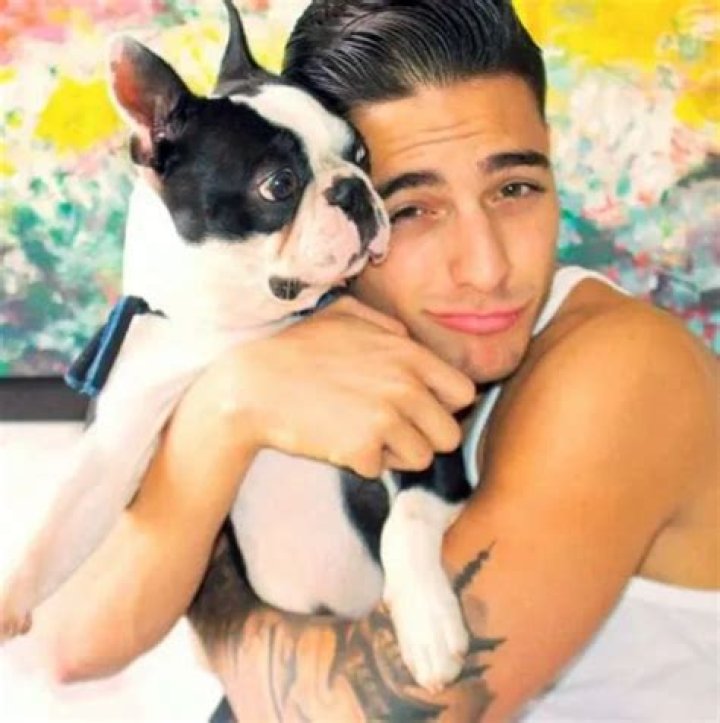 Maluma Pets - Celebrity Pets