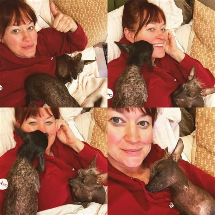 Mamrie Hart Pets - Celebrity Pets