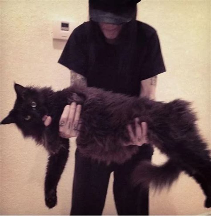 Mick Mars Pets - Celebrity Pets