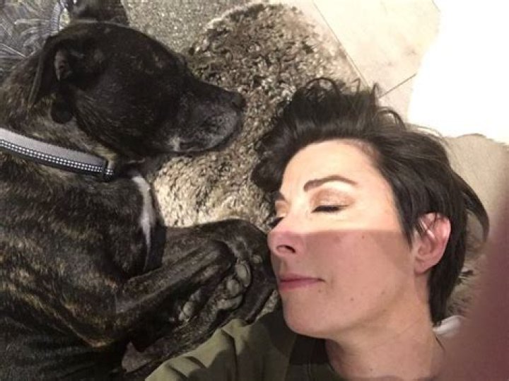 Neekolul Pets - Celebrity Pets