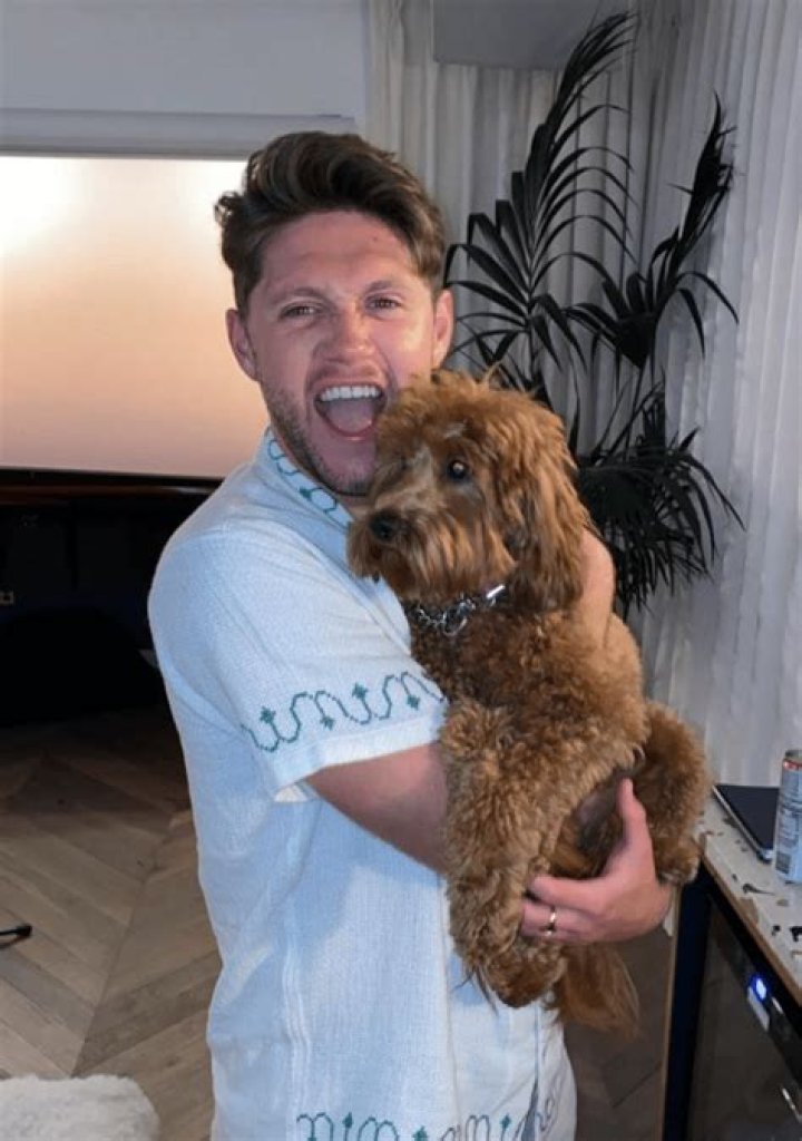Niall Horan Pets - Celebrity Pets