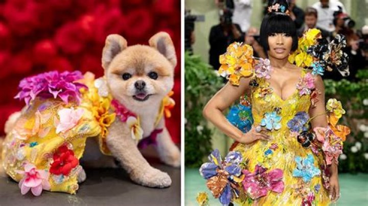 Nicki Minaj Pets - Celebrity Pets