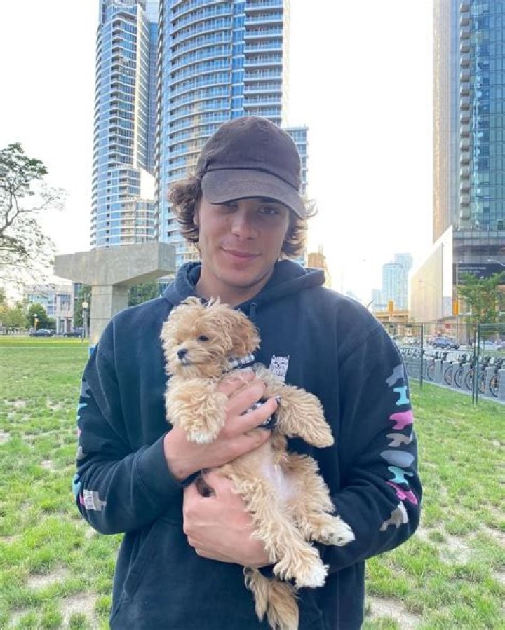 Pearce Joza Pets - Celebrity Pets