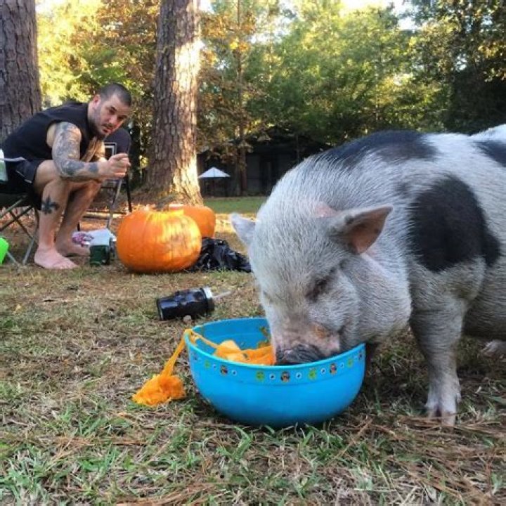 Phil Anselmo Pets - Celebrity Pets