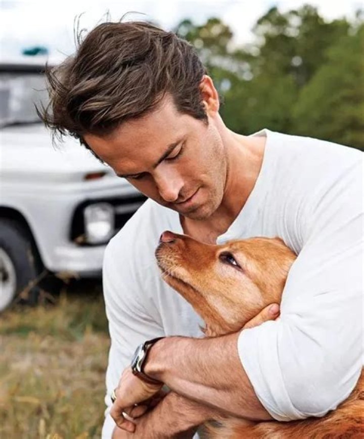 Ryan Reynolds Pets - Celebrity Pets