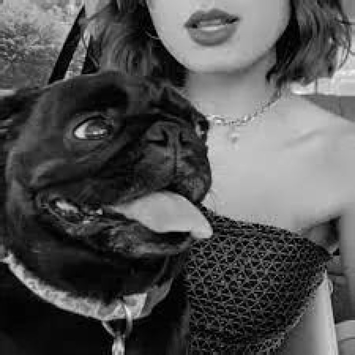 Sarah Cothran Pets - Celebrity Pets