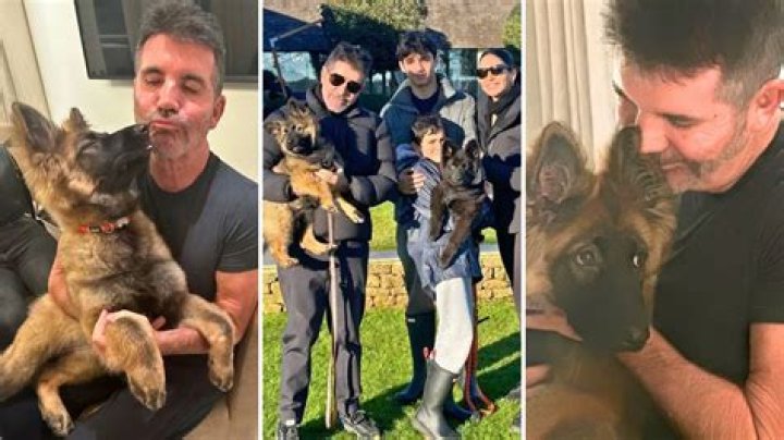 Simon Cowell Reveals His 5th Dog – A German Shepherd Puppy Named Pebbles