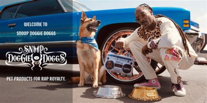 Snoop Dogg finally launches a pet accessories brand: Snoop Doggie Doggs