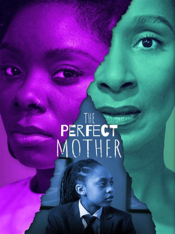 The Perfect Mother season 2 updates: is another season happening?