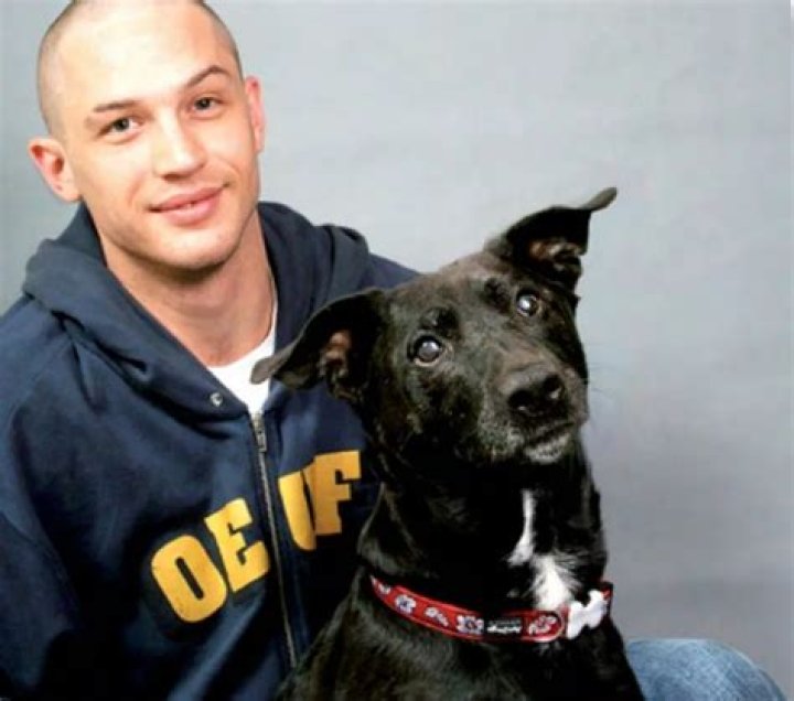 Tom Hardy Pets - Celebrity Pets